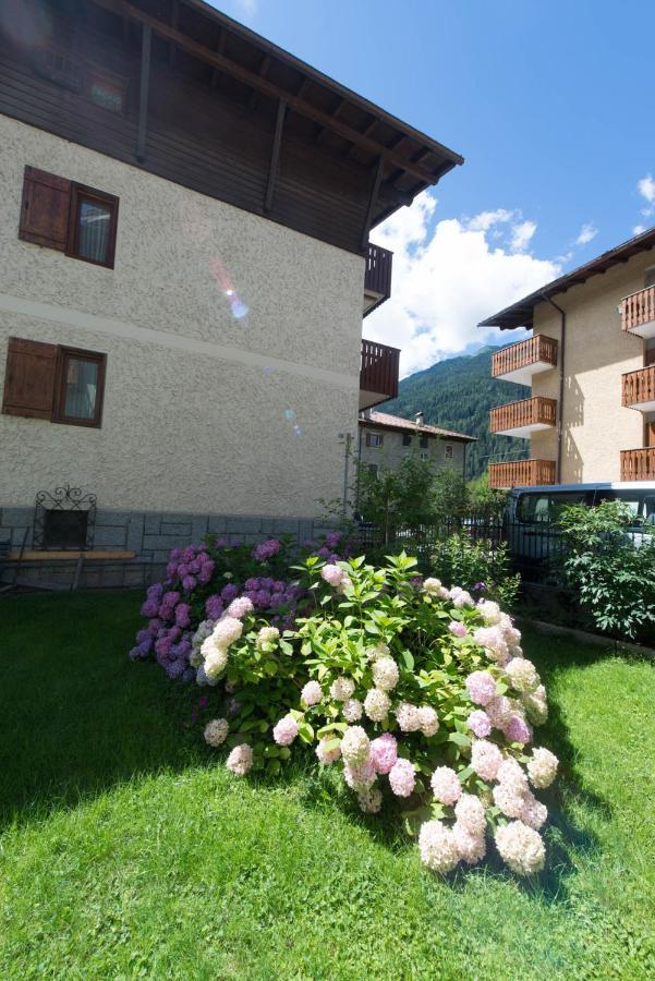 Residence Alpen Casavacanze Pinzolo Bagian luar foto
